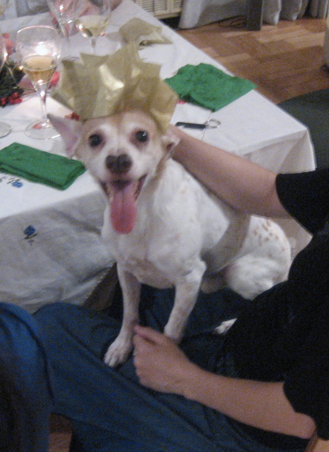 el rey Pupi