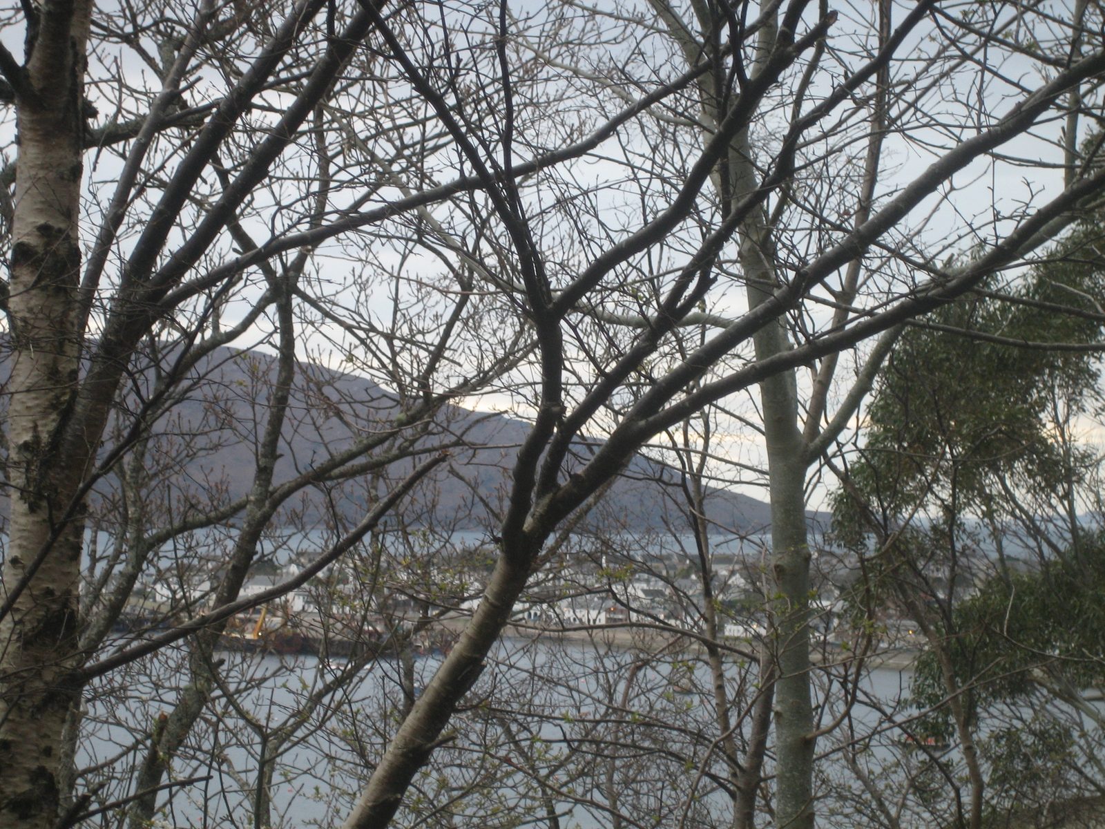 llegando a Ullapool