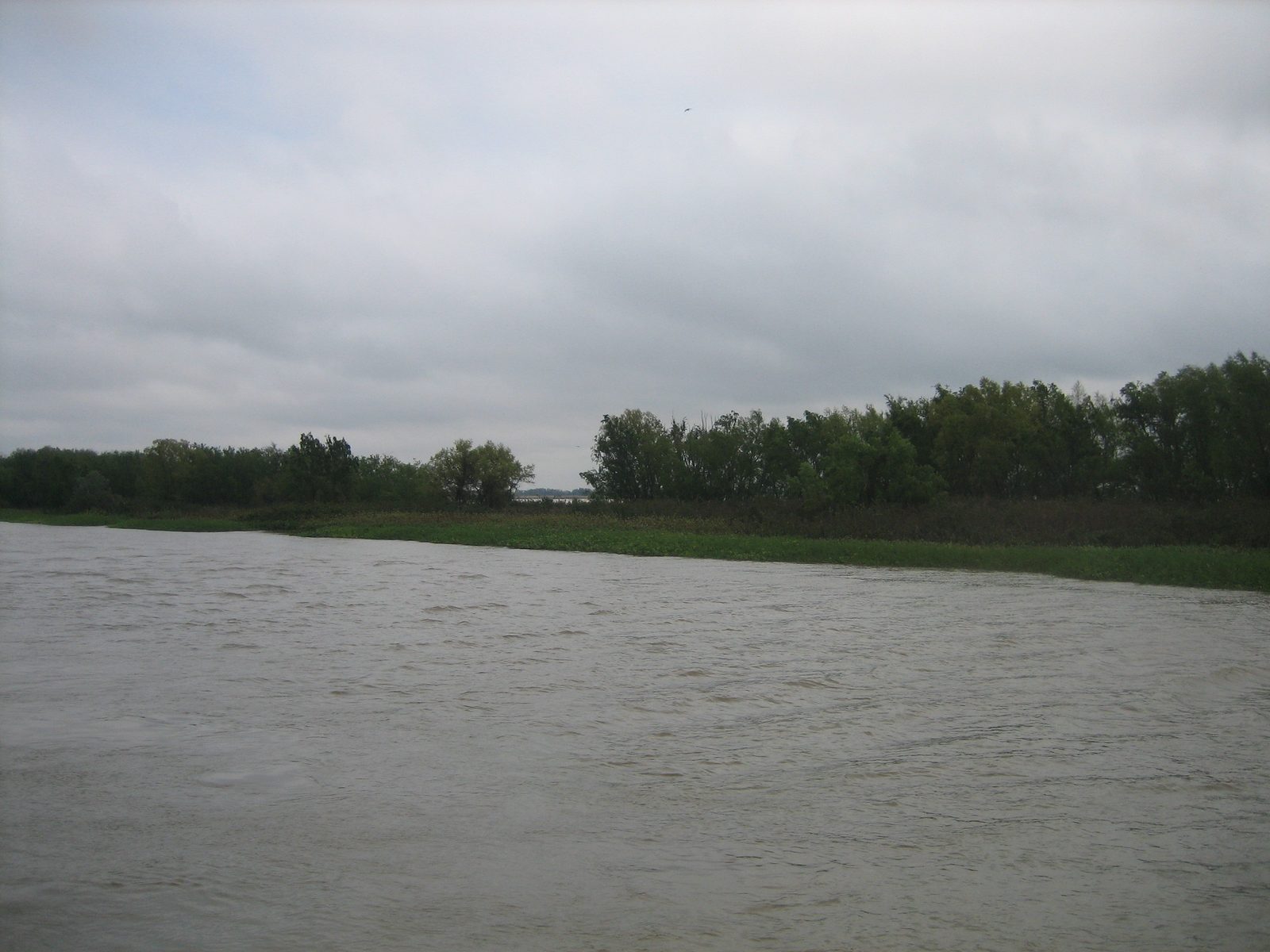 vista del rio