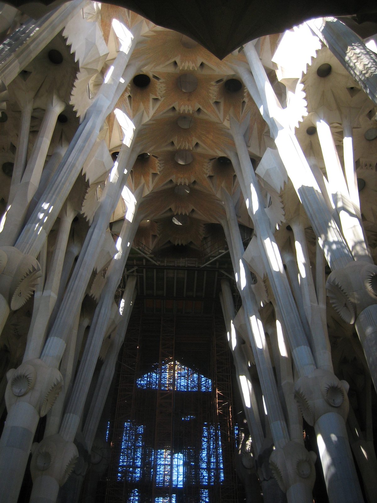 las columnas inspiradas en árboles