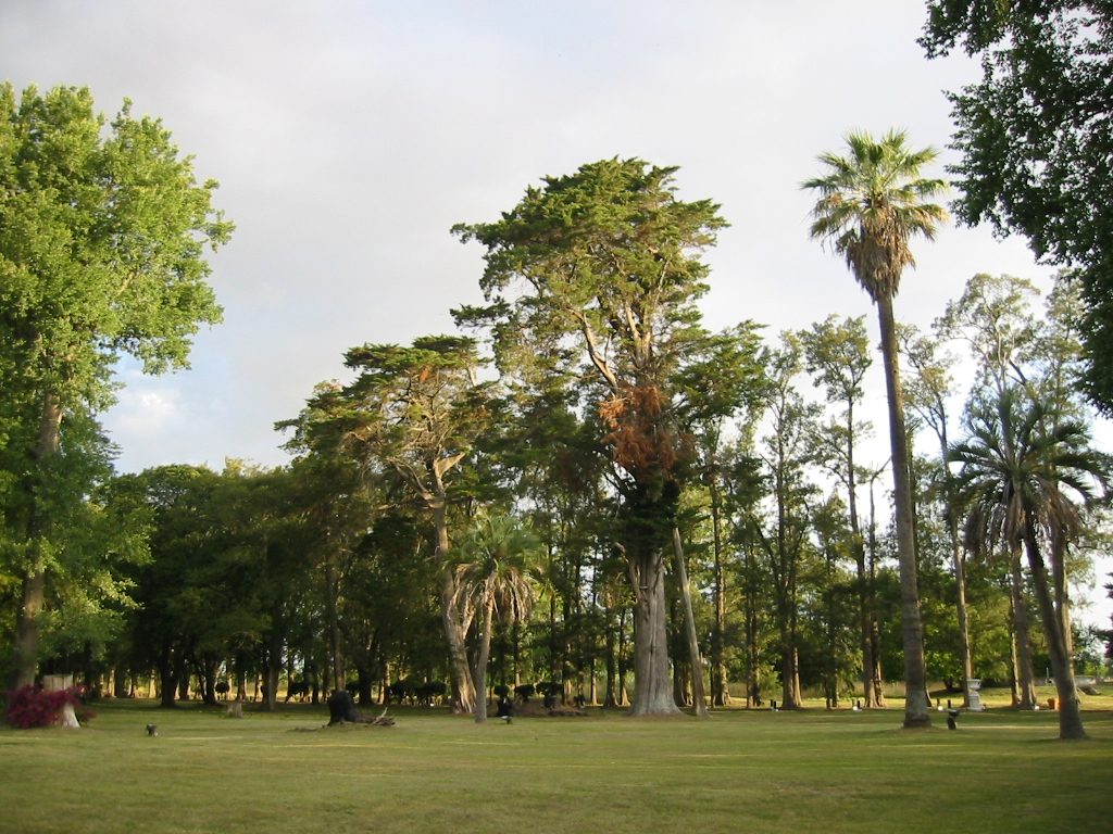 el parque