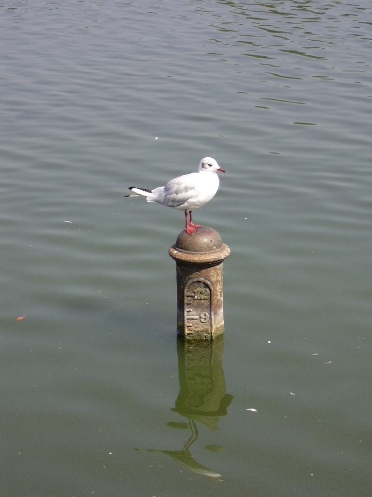 DSCN0270