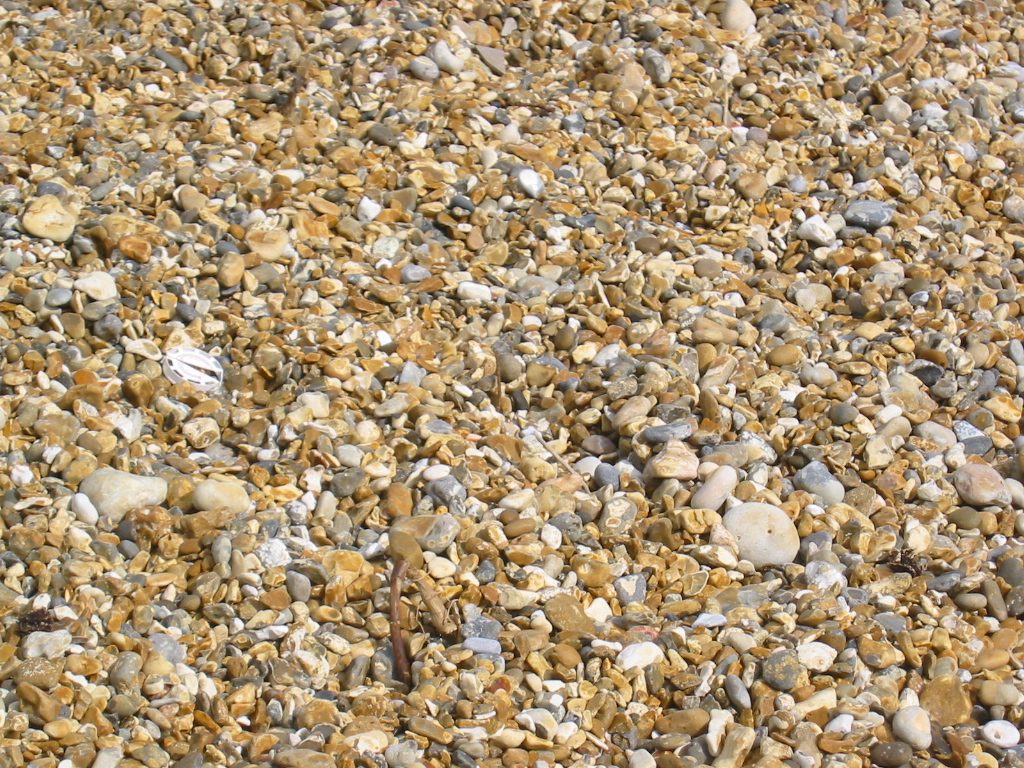 IMG_2982