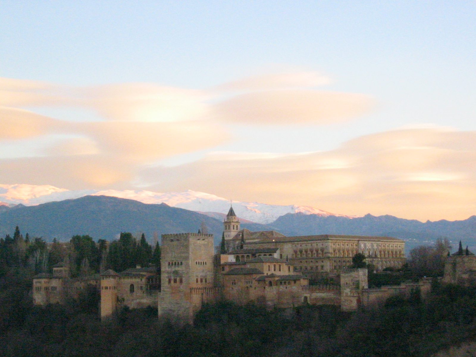 IMG_1846