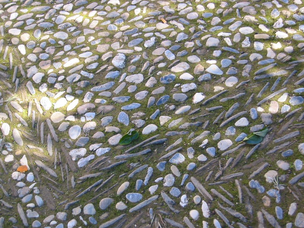 IMG_1872