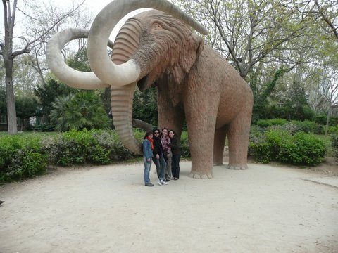 encontramos un mamut!!!!