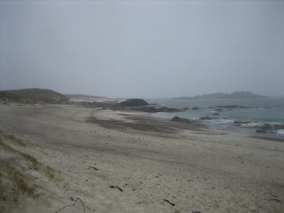 llegamos a la playa :)