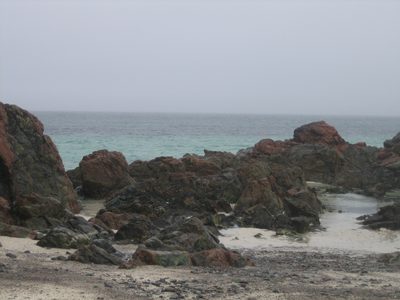 el paisaje se vuelve rocoso