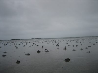 de vuelta hacia Tobermory paramos en otra playa
