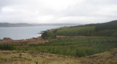 vista hacia el bosque y la costa