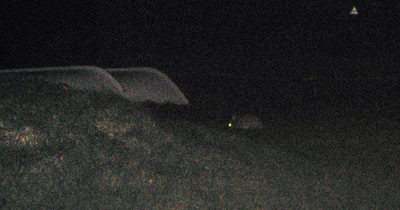el punto amarillo es el ojo de un conejo q andaba por ahi a la noche