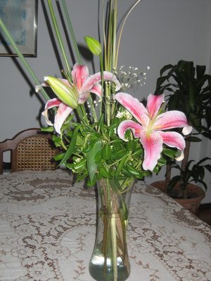 las flores que me regalo Juampi