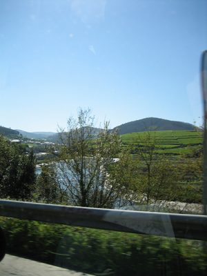foto desde el auto!
