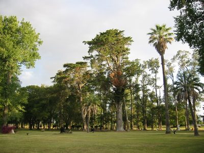 el parque