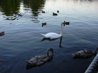 DSCN0240