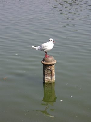 DSCN0270