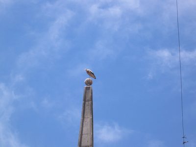IMG_3188