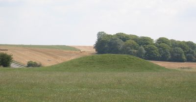 IMG_3323