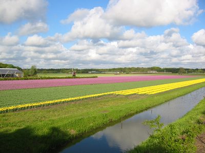 IMG_3008