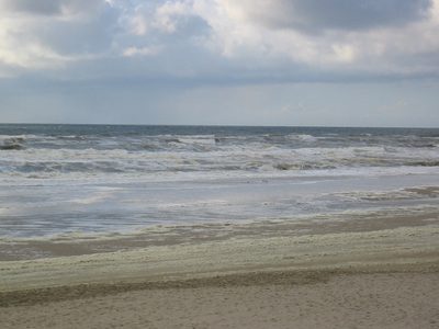IMG_3016