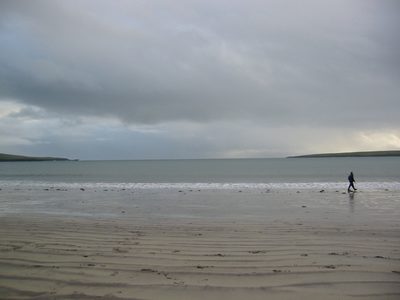 IMG_2650