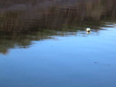 IMG_2660