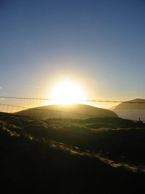 IMG_2682
