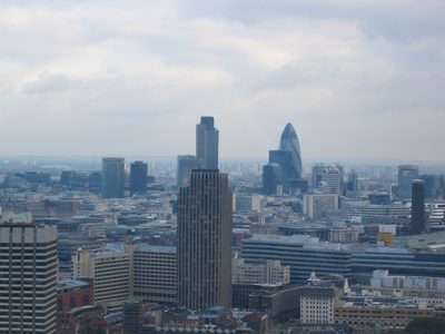 IMG_2411