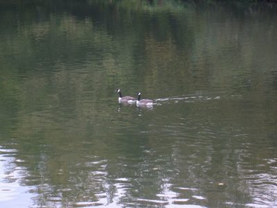 IMG_2321