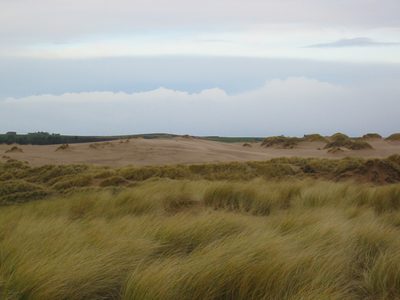 IMG_1697