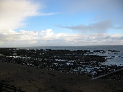 IMG_1716