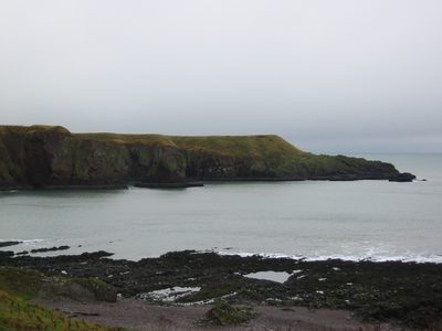 IMG_1729