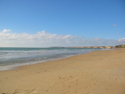 IMG_1822