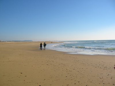 IMG_1826