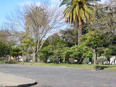 IMG_1390