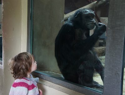 en Monkey World