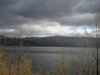 camino hacia el norte